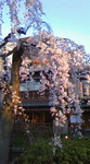 image/2012-04-11T17:34:09-2.jpg